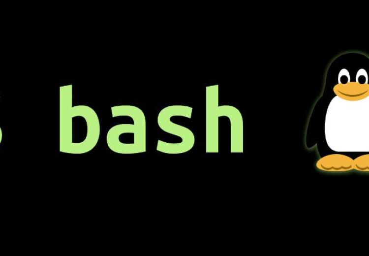 bash